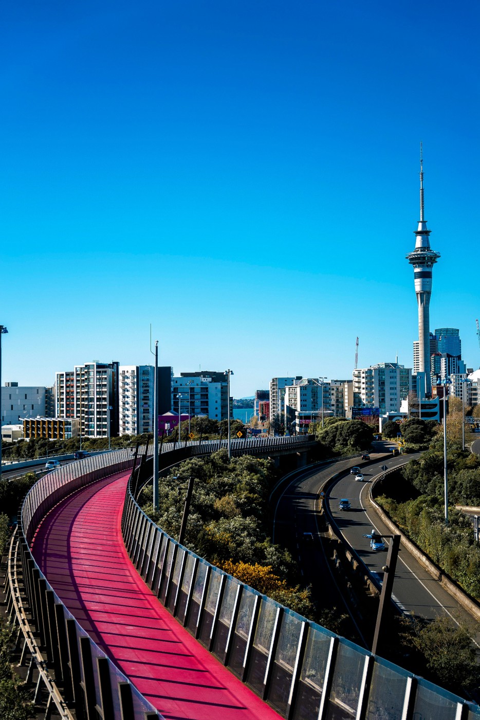 Auckland’s pink cycleway curving toward the city skyline and Sky Tower beneath a blue sky